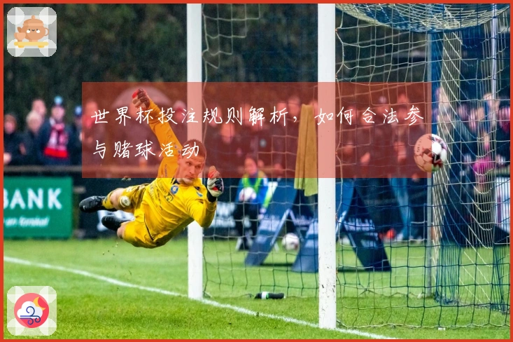 世界杯投注规则解析，如何合法参与赌球活动
