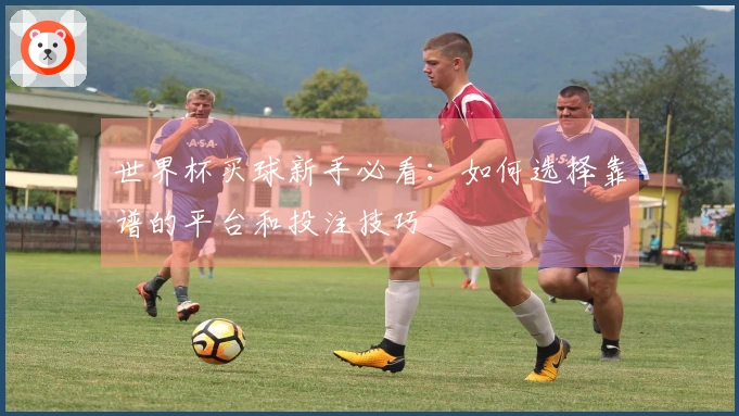 世界杯买球新手必看：如何选择靠谱的平台和投注技巧