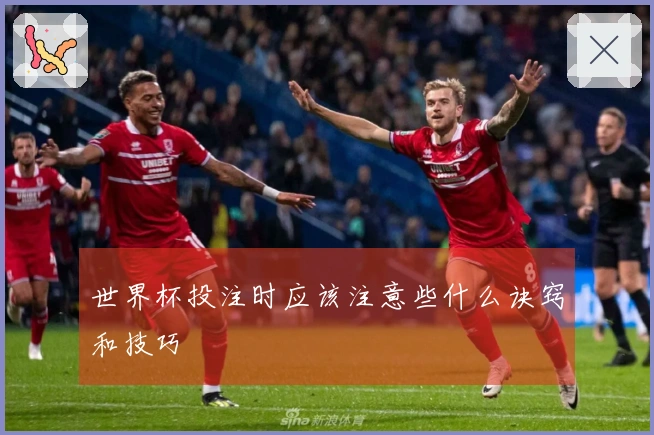 世界杯投注时应该注意些什么诀窍和技巧