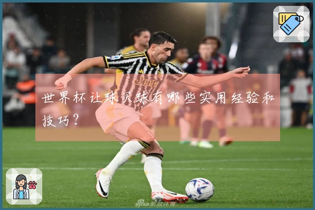 世界杯让球买球有哪些实用经验和技巧？